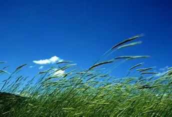 Resultado de imagen de aire