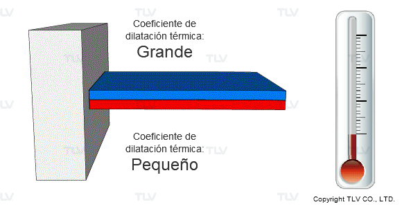 extension y contraccion 