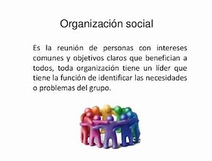 organizacion social