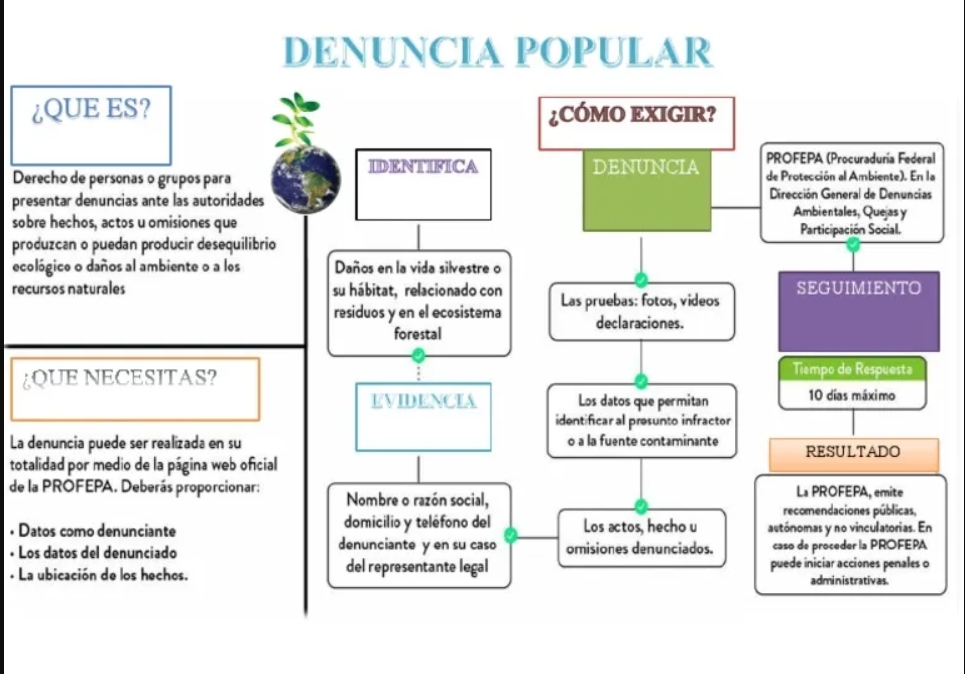 denuncia popular